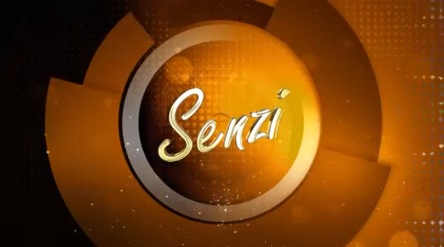 senzi_screen01